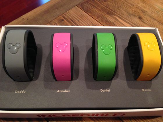 magicbands - 11