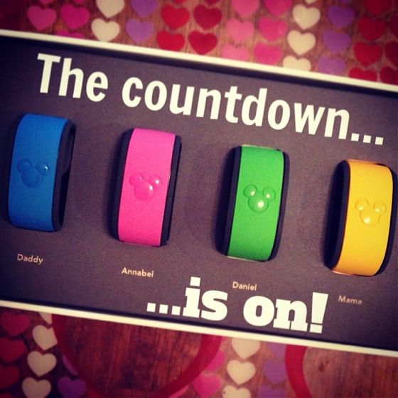 magicbands - 15